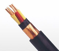廣州電纜廠(chǎng)屏蔽電纜 KVVP KVV22控制電纜